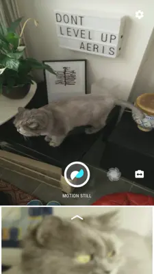 Motion Stills android App screenshot 0