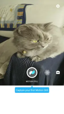 Motion Stills android App screenshot 6